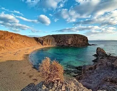 Hanalulu *